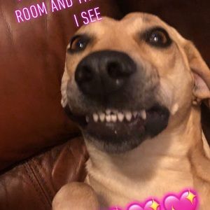 Meet your Posher, Lydia